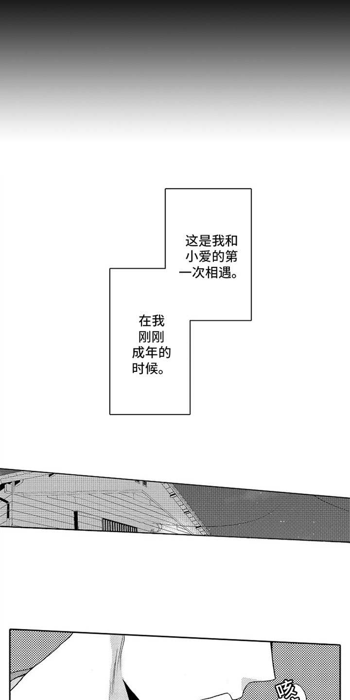 第5章：打算5