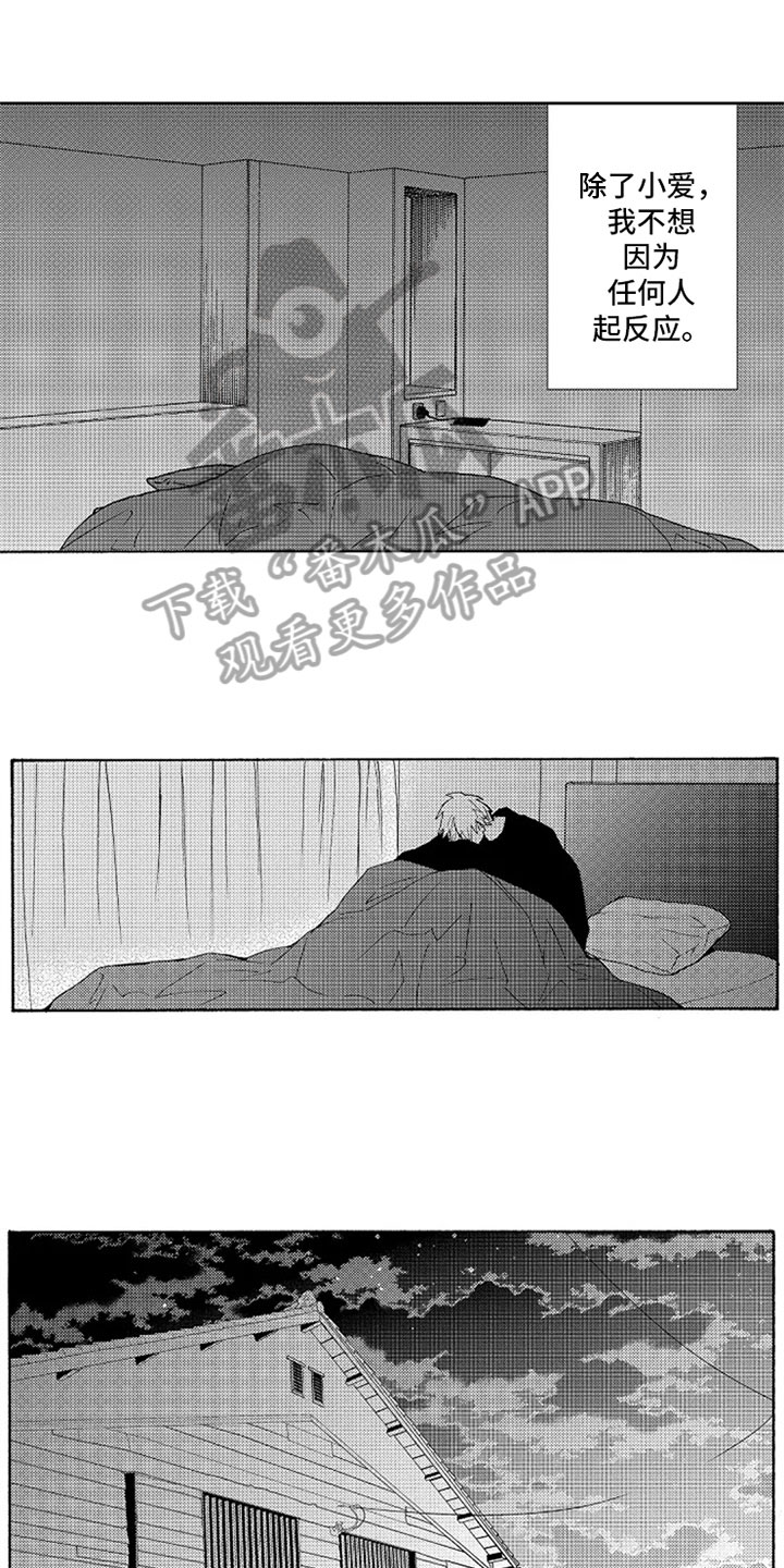 第17章：表白11