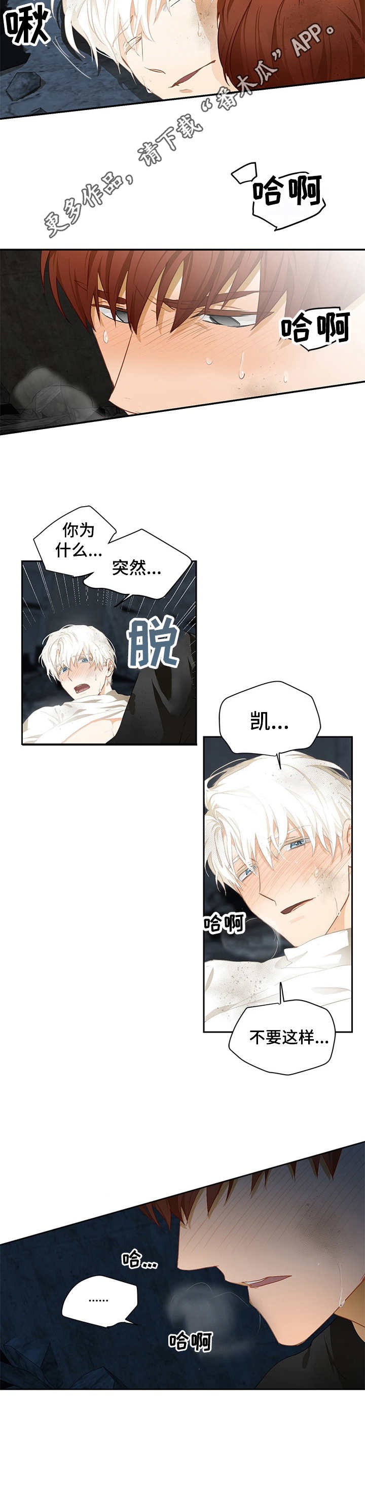 第7章：激动8
