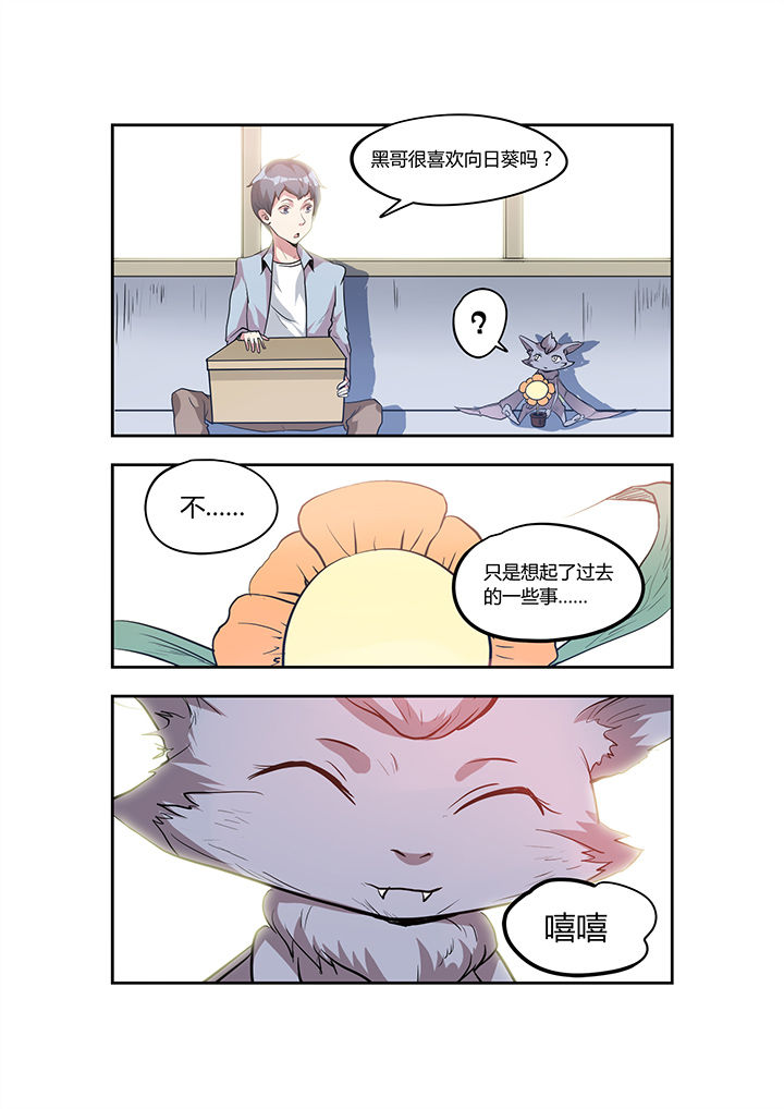 第28章：7