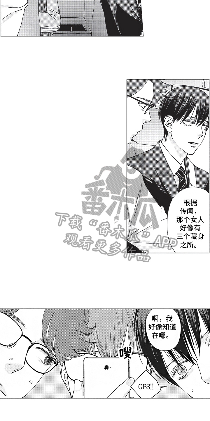 第17章：计划11