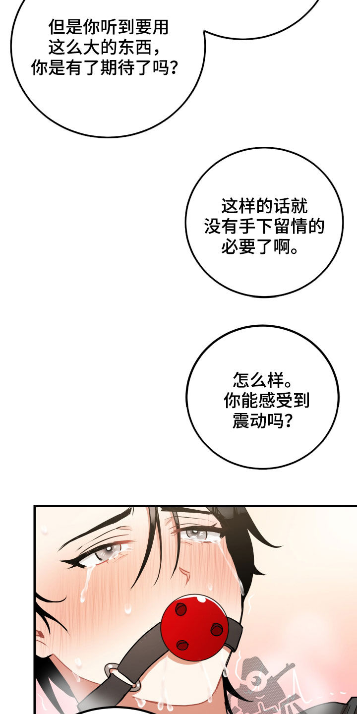 第33章：报仇17