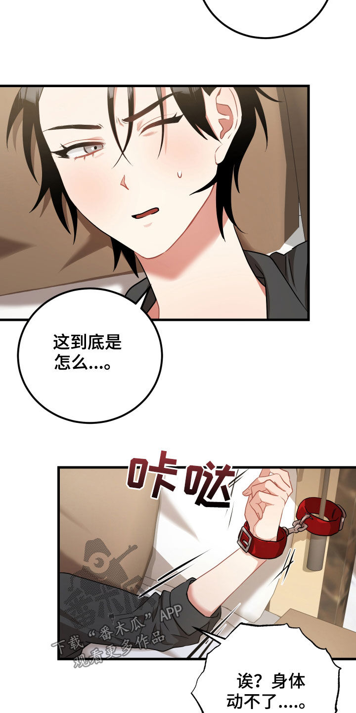 第32章：打晕19