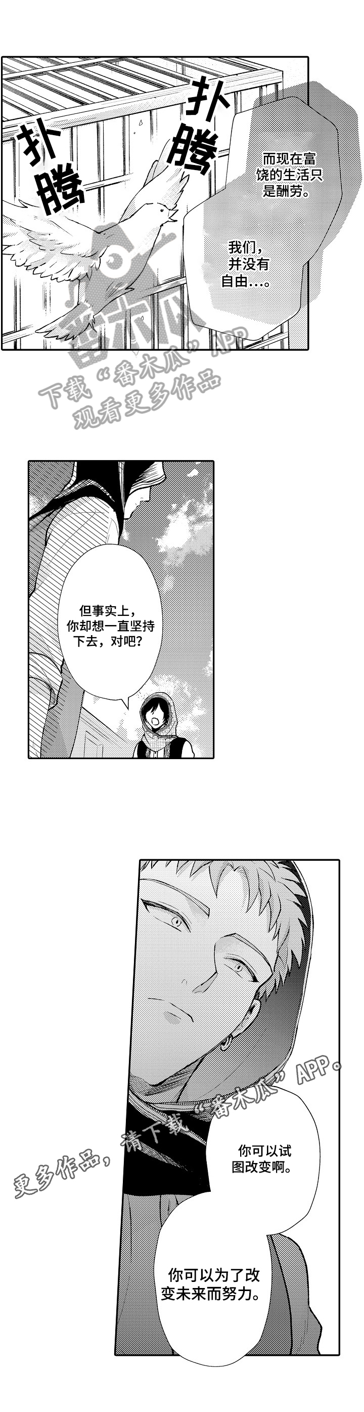 第15章：理解7