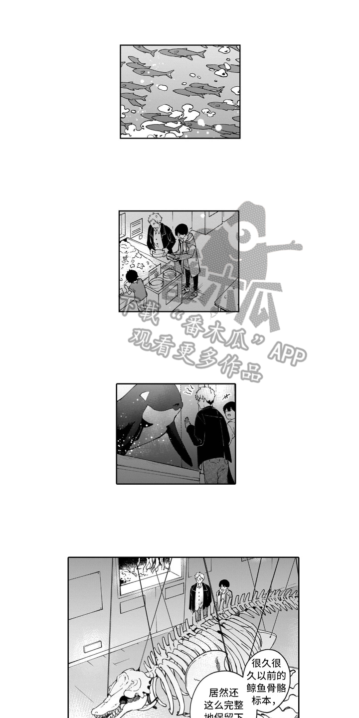 第7章：开心2