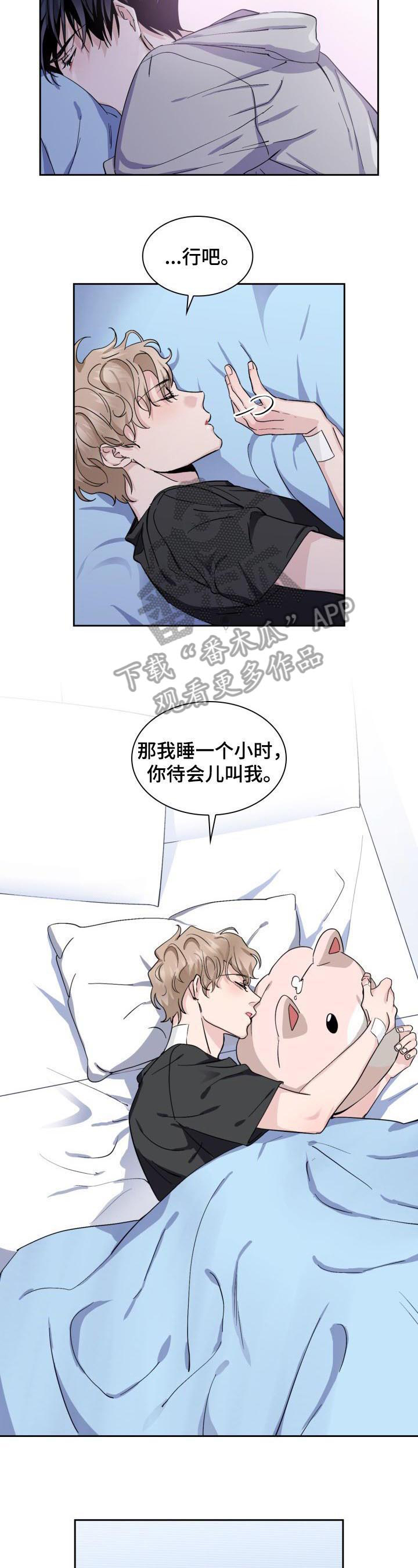 第8章：猫和小鱼干10