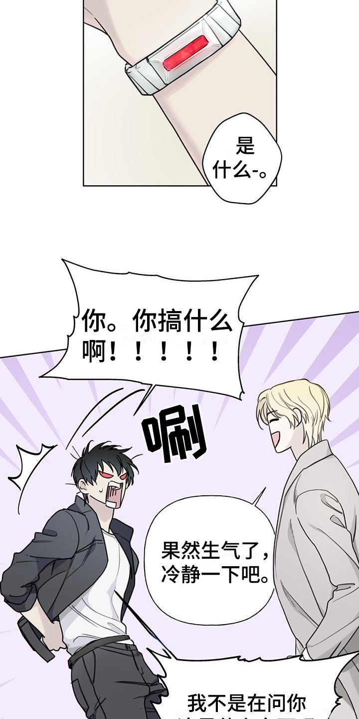 第4章：手环15