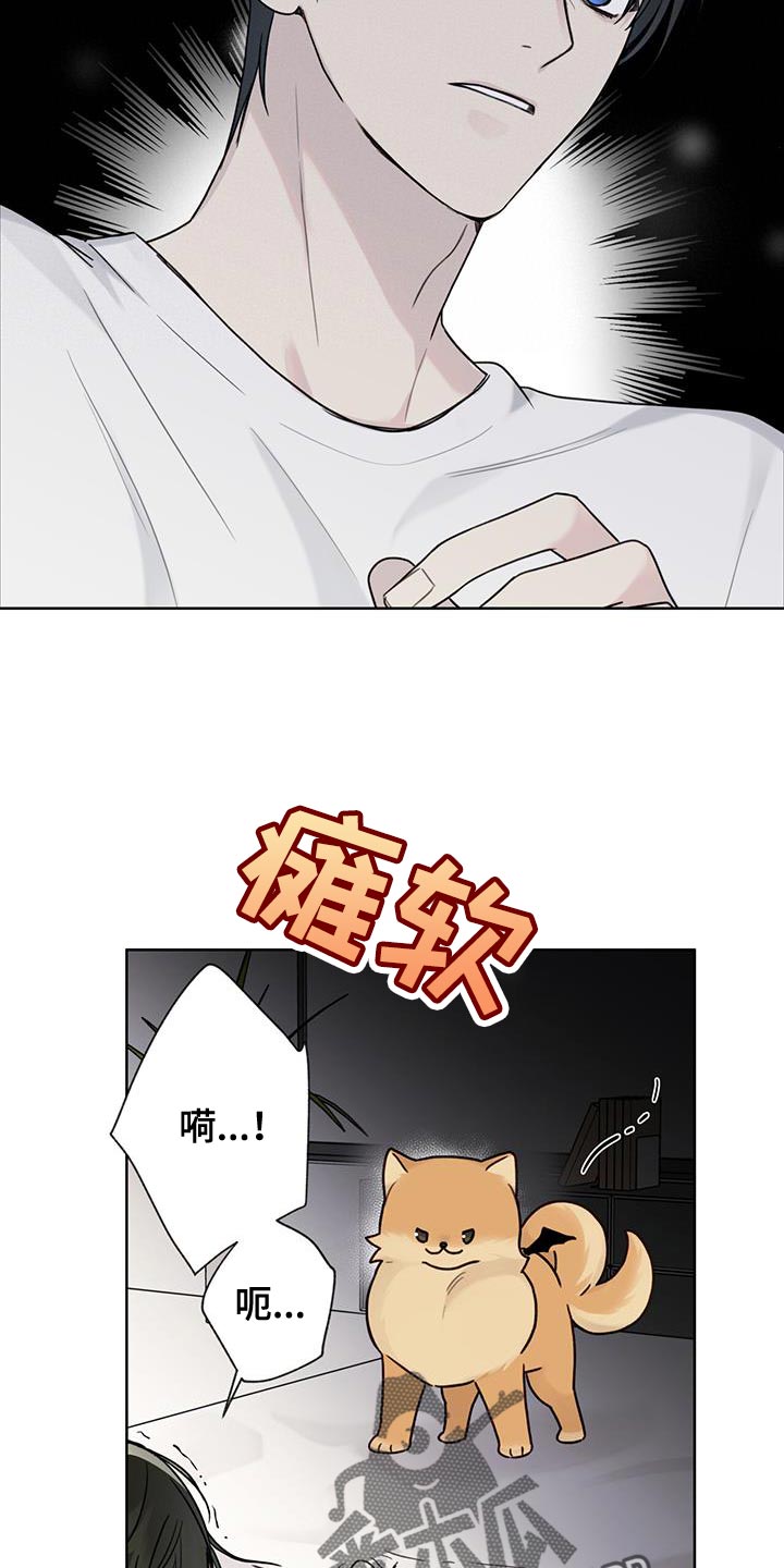 第17章：我让你滚蛋5