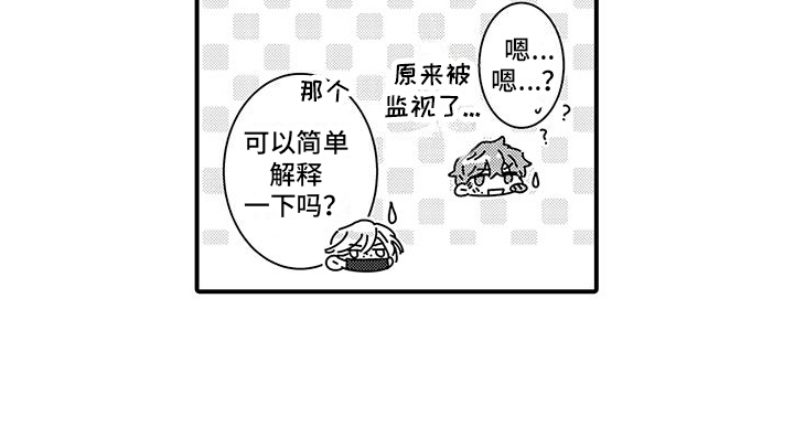 第11章：罪魁祸首12