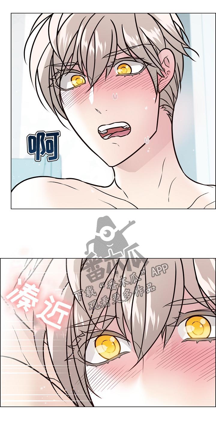 第79章：你醒了11