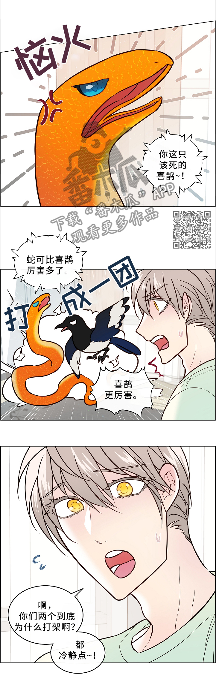 第46章：两只宠物4