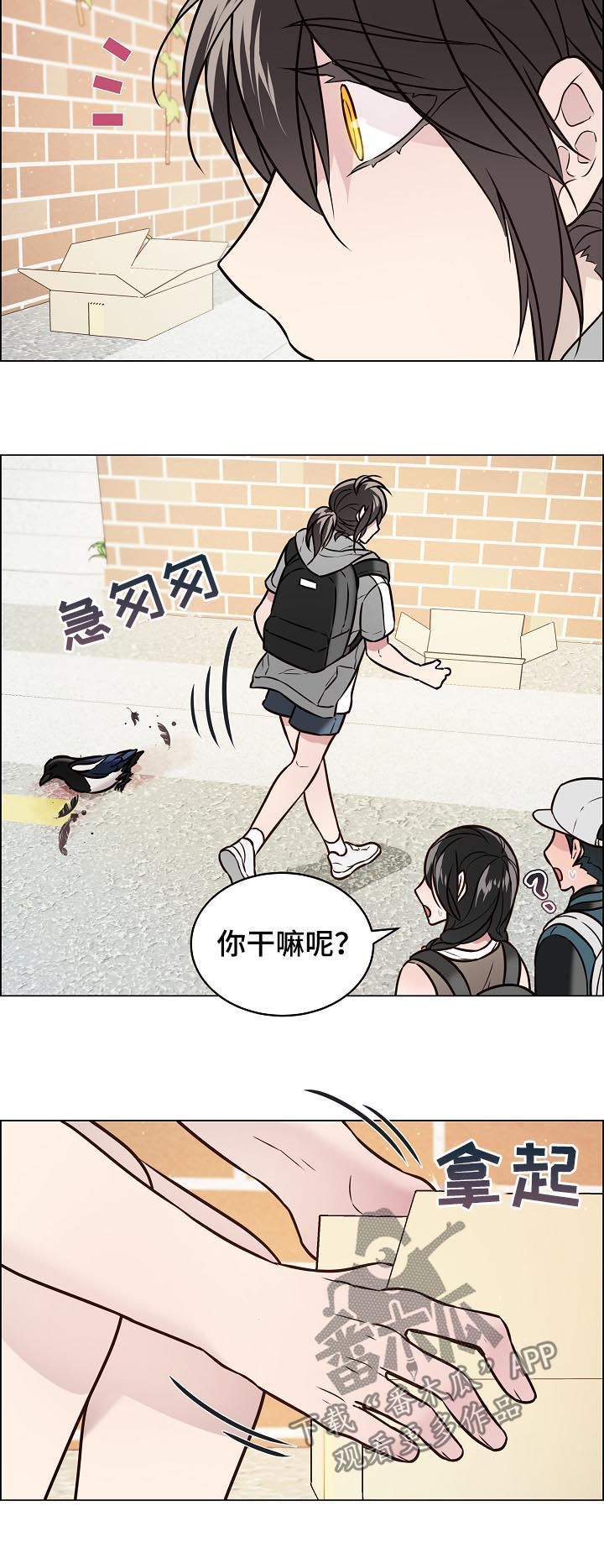 第67章：交通事故5