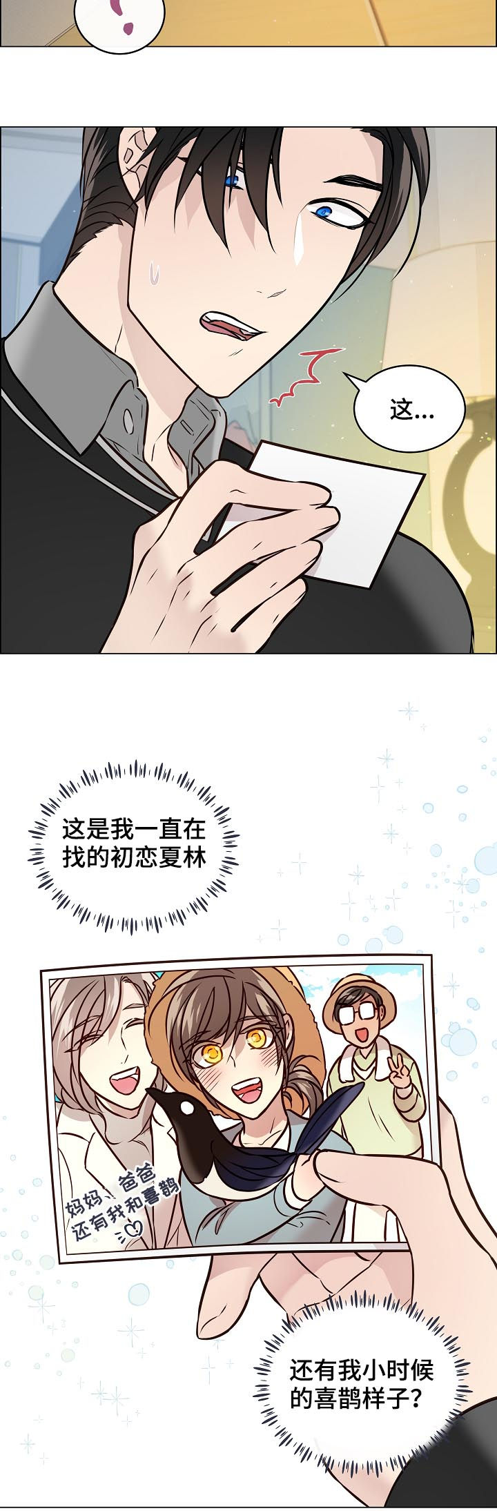 第66章：照片11