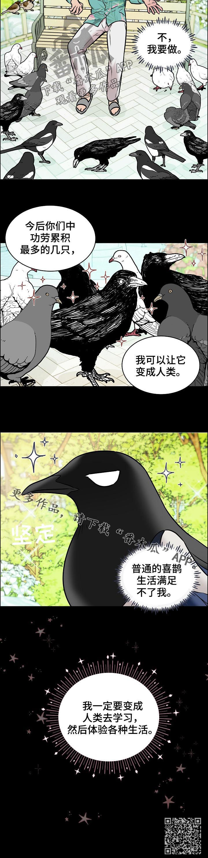 第67章：交通事故13