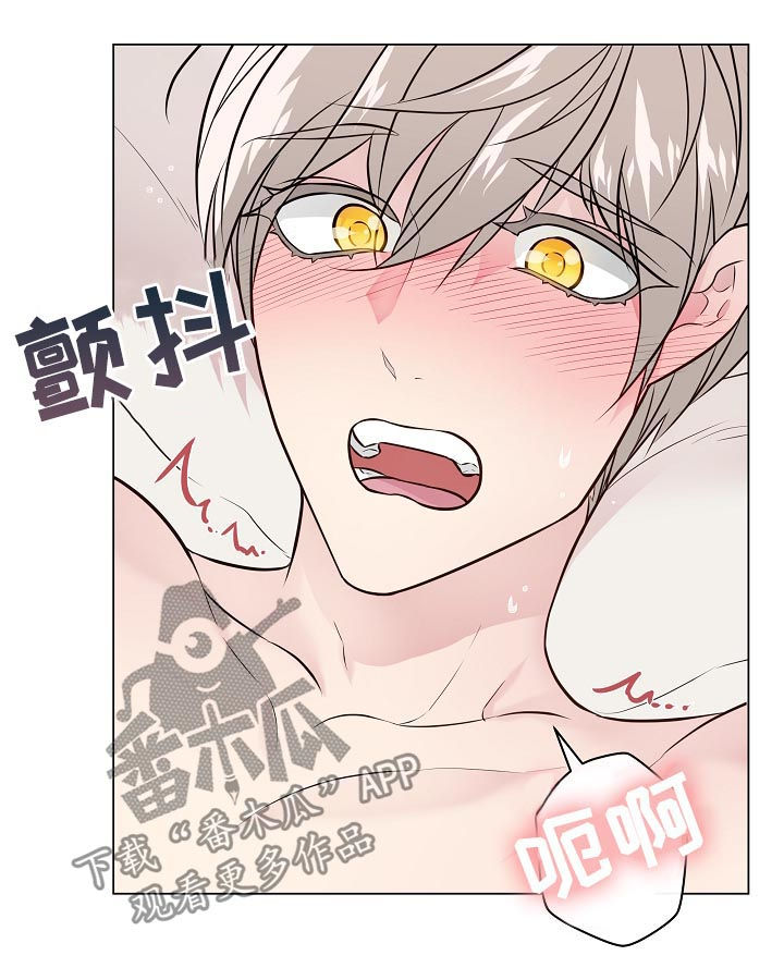 第95章：夫妻5