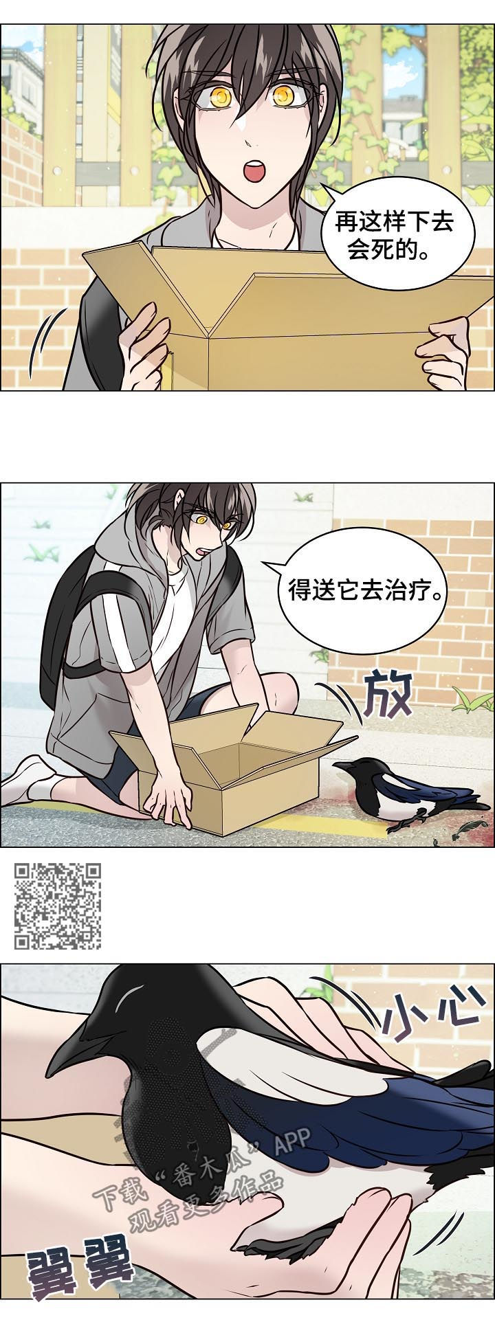 第67章：交通事故6