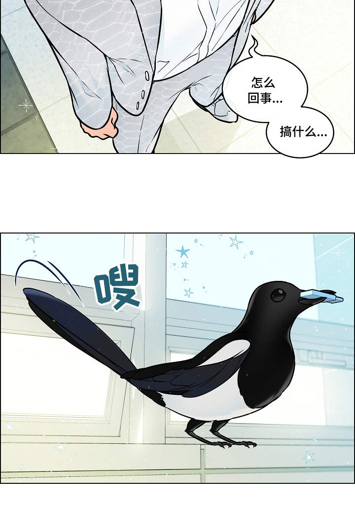 第28章：赶到5