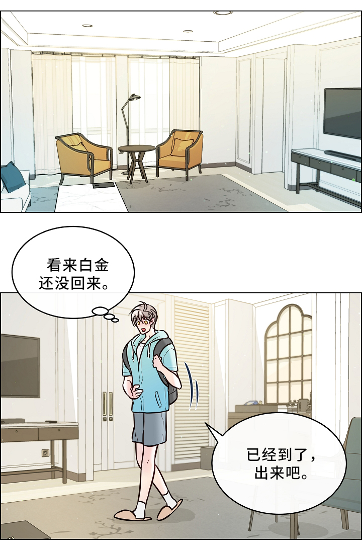 第43章：喜鹊的秘密8