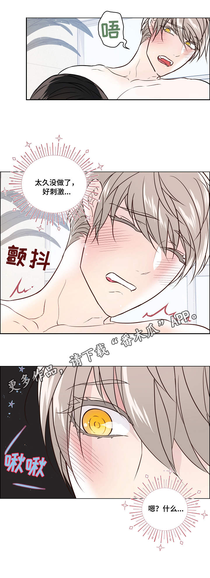 第38章：补偿8