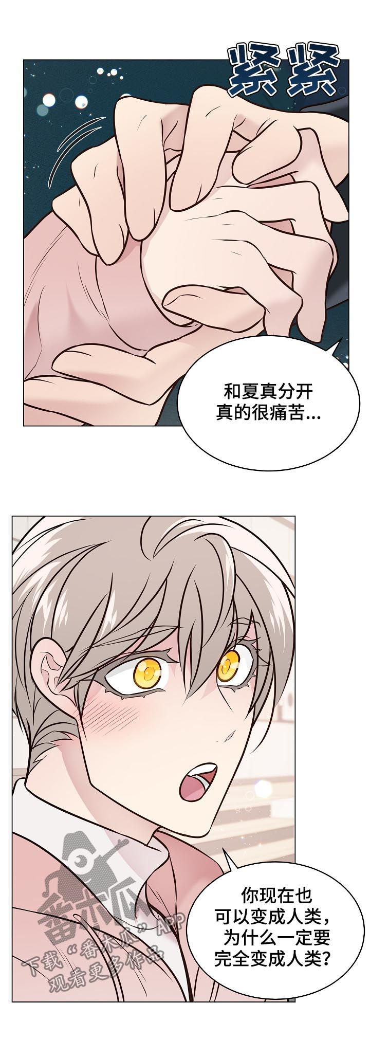 第93章：戒指破碎5