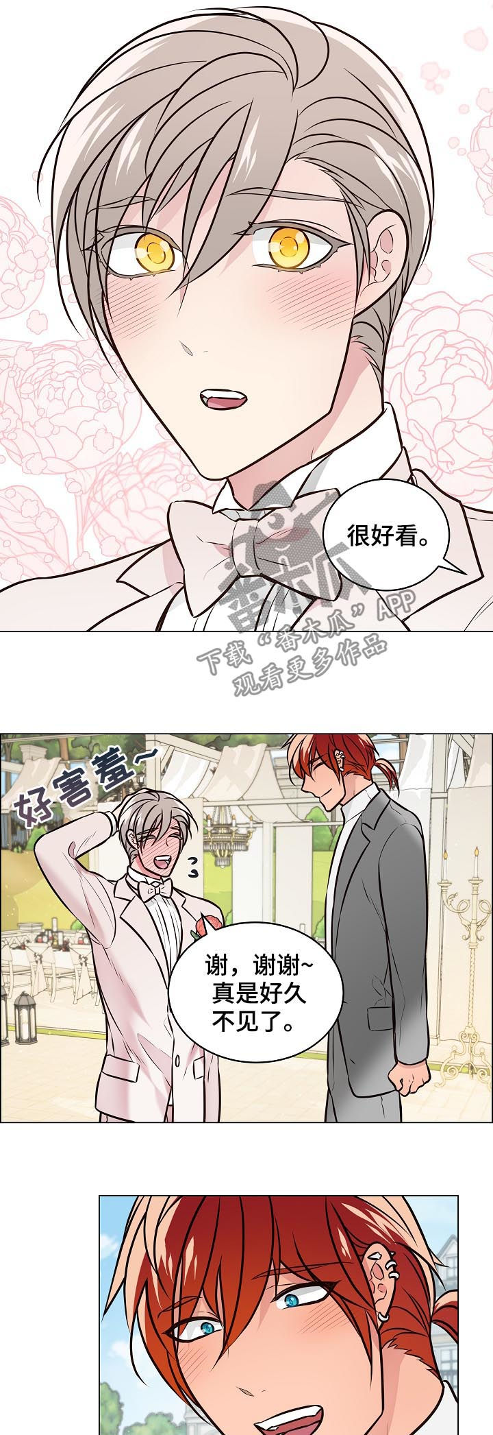 第94章：结婚8