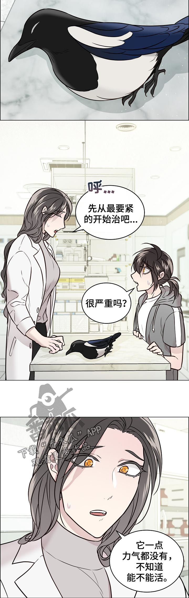 第67章：交通事故9