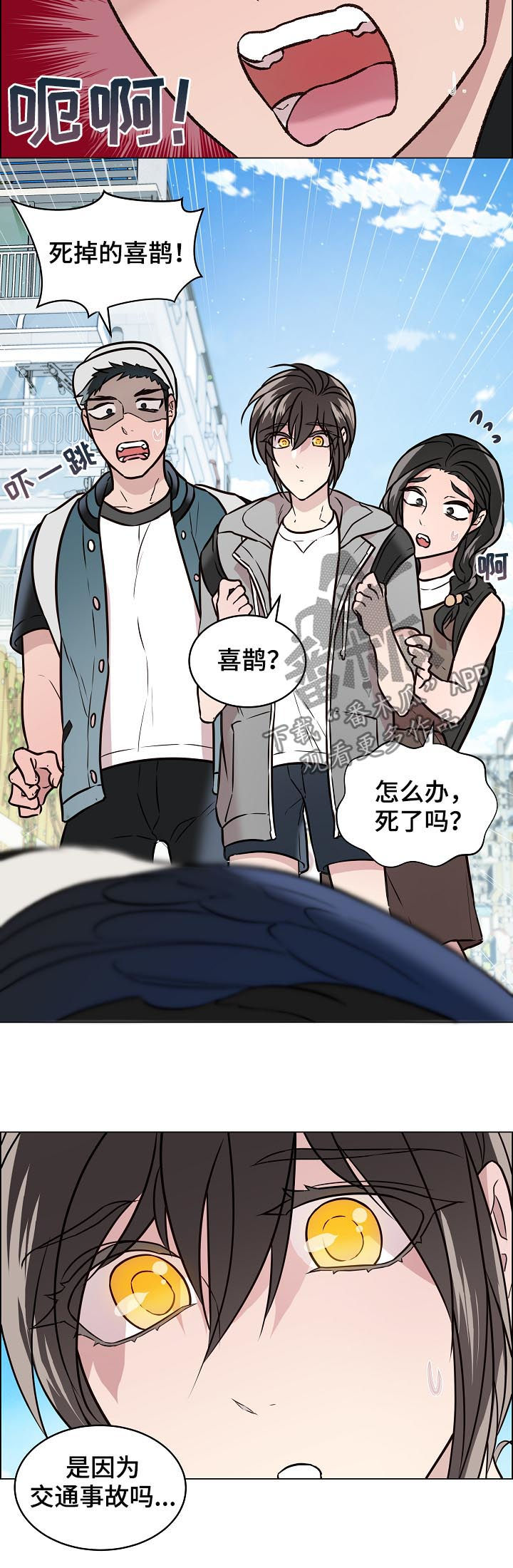 第67章：交通事故3
