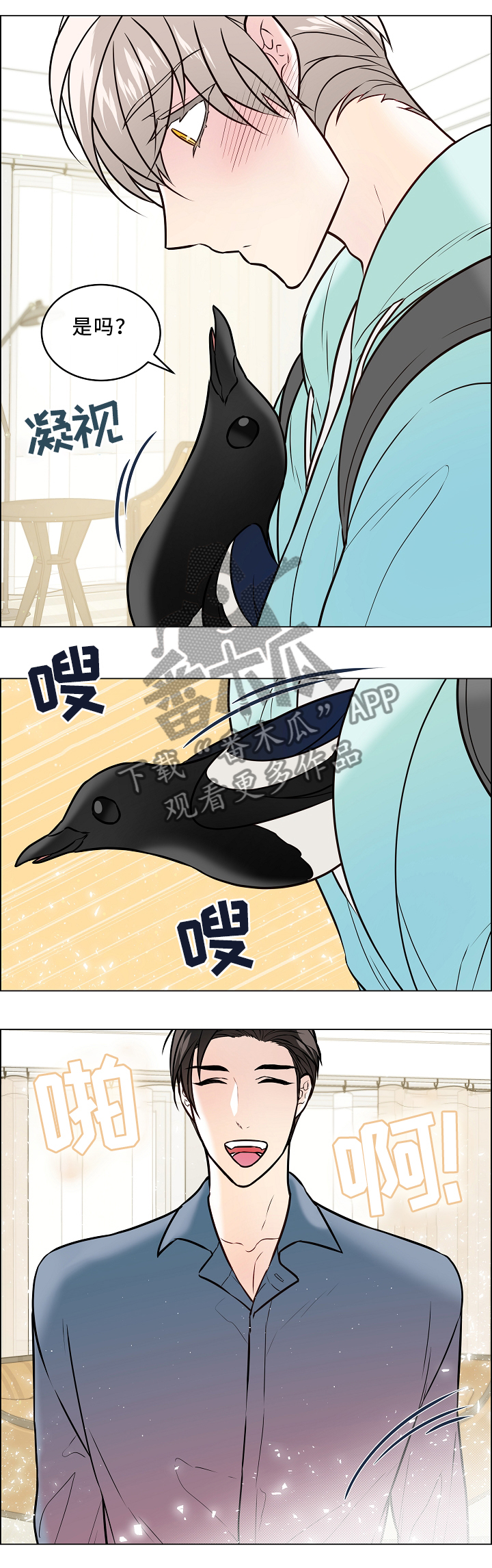 第43章：喜鹊的秘密9