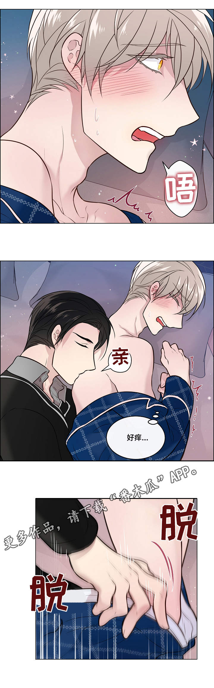 第16章：瘙痒7