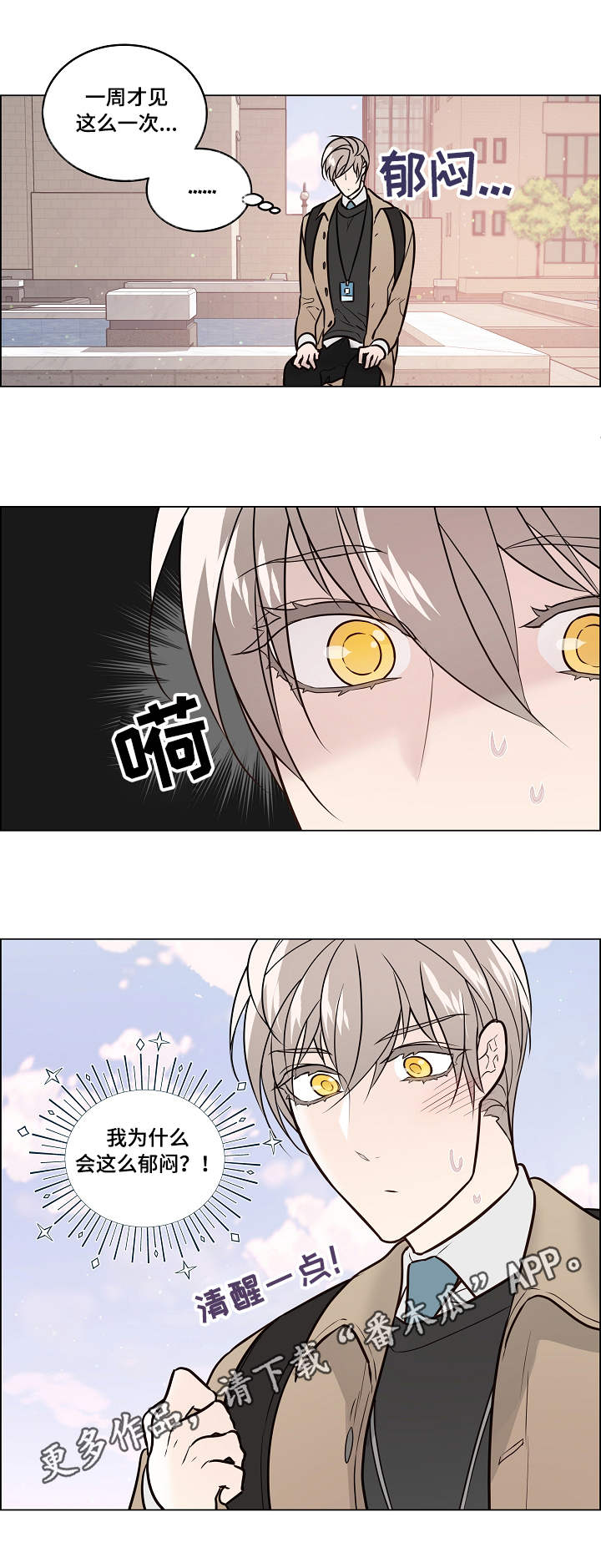第33章：忙碌6