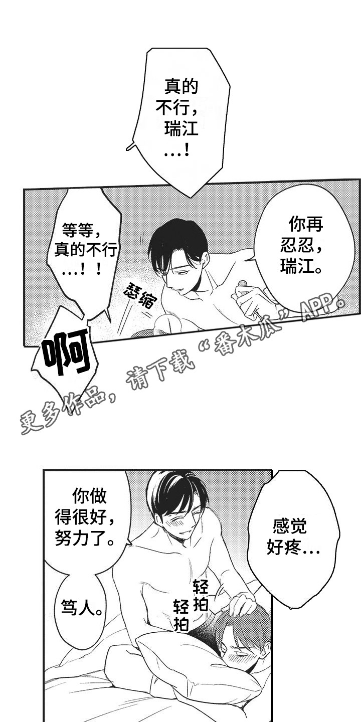 第11章：有效果 4