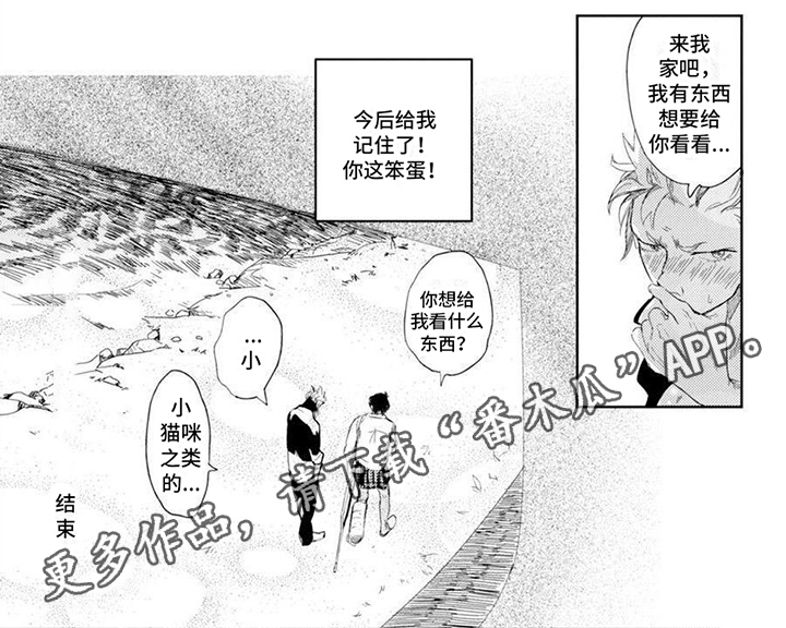 第5章：和好6