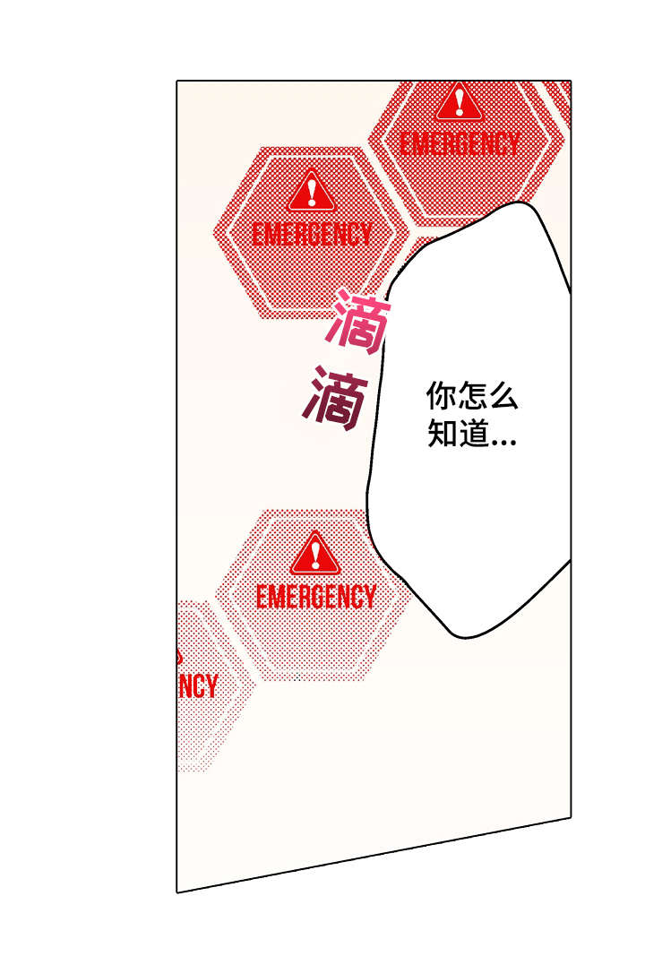 第3章：为什么6