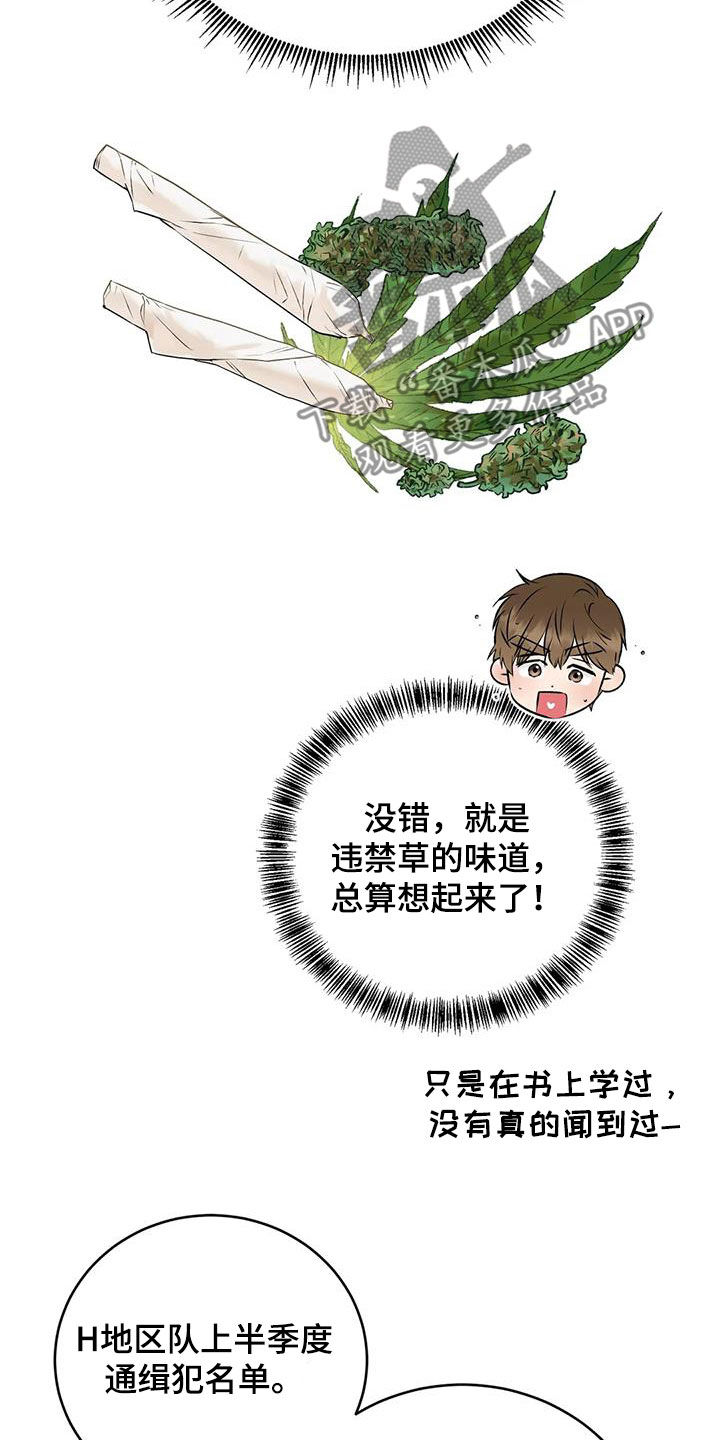 第22章：陷阱12