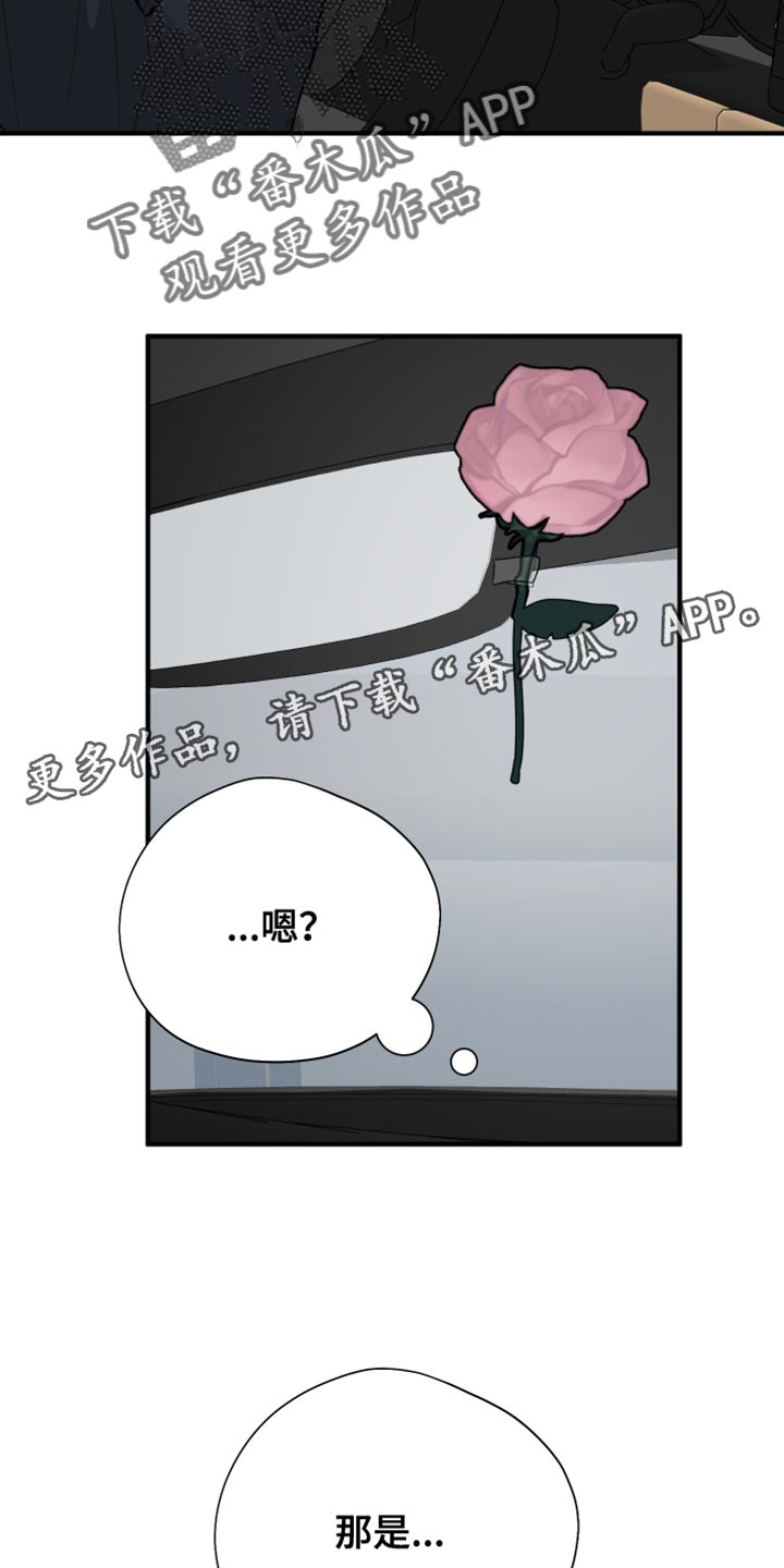 第54章：花朵31