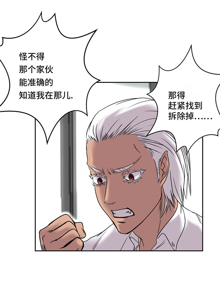 第19章：上钩12