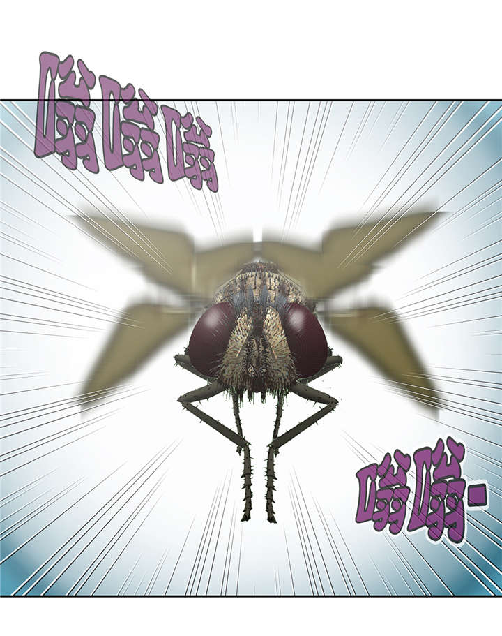 第36章：我喜欢安静的地方2