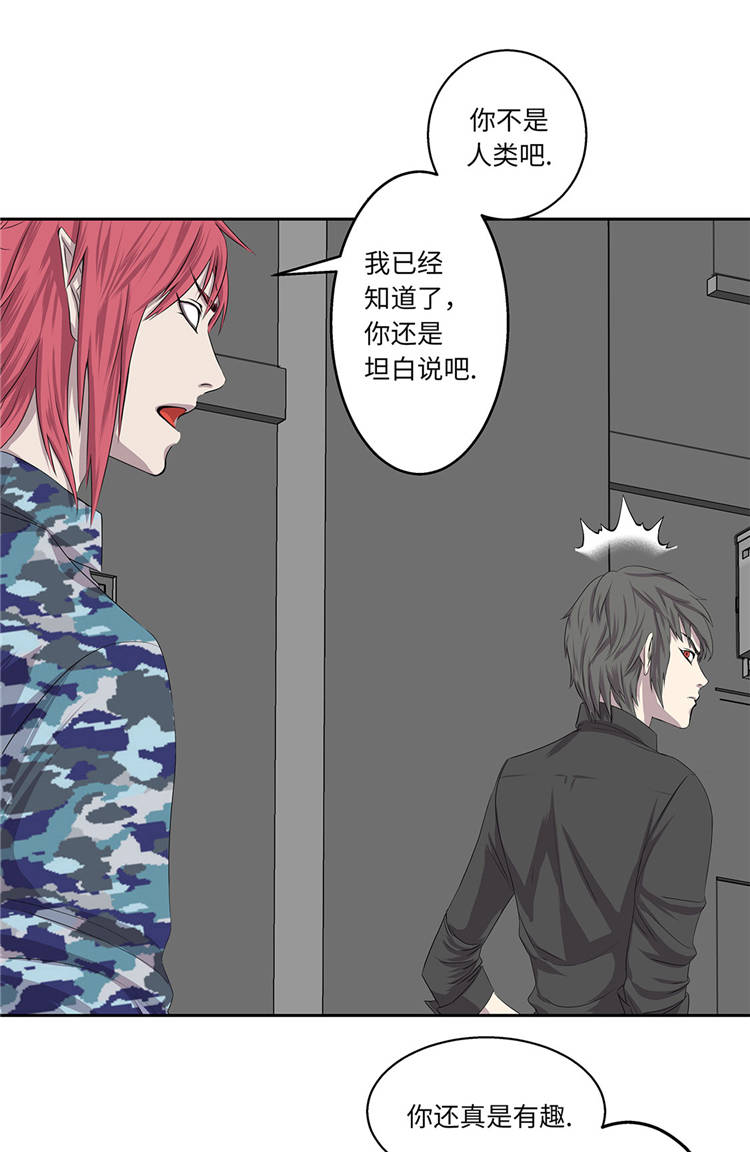 第5章：真实身份38