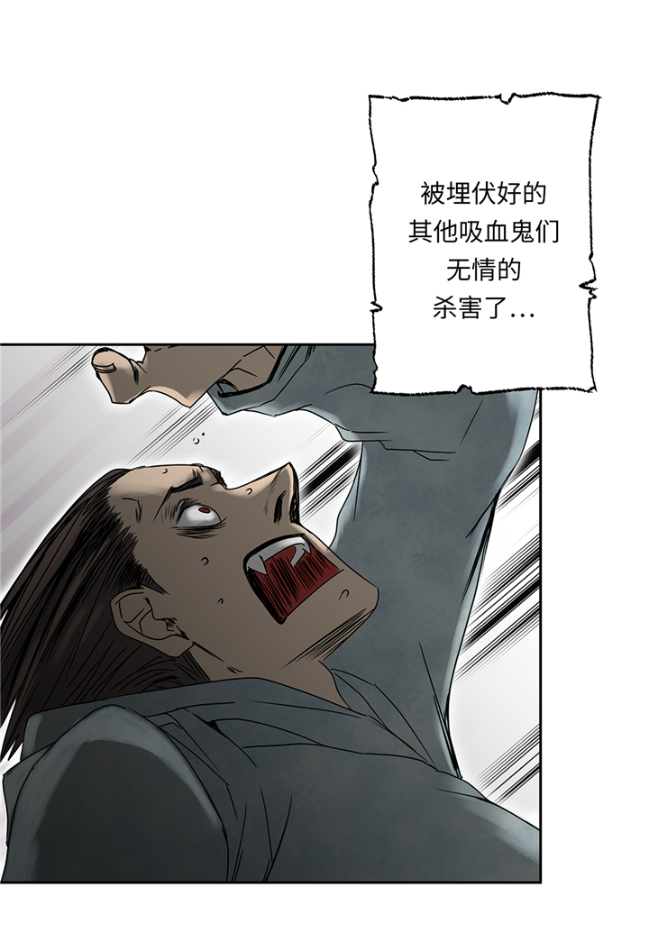 第94章：大结局55