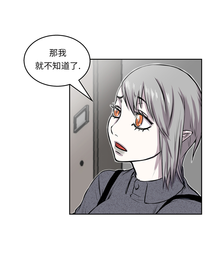 第65章：重要的事情17