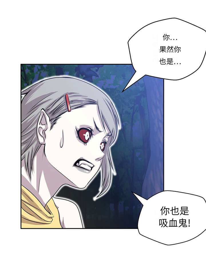 第28章：不一样20