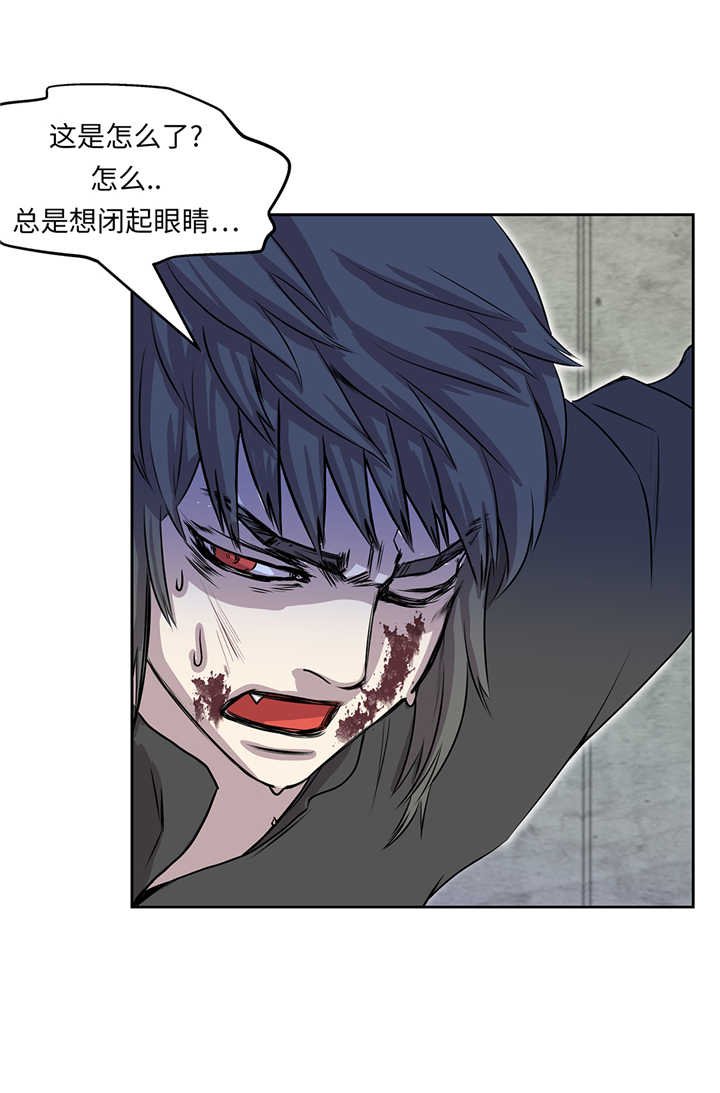 第78章：全面开战23