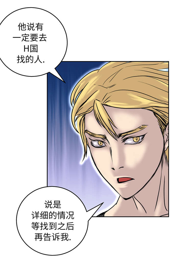 第41章：从长计议20
