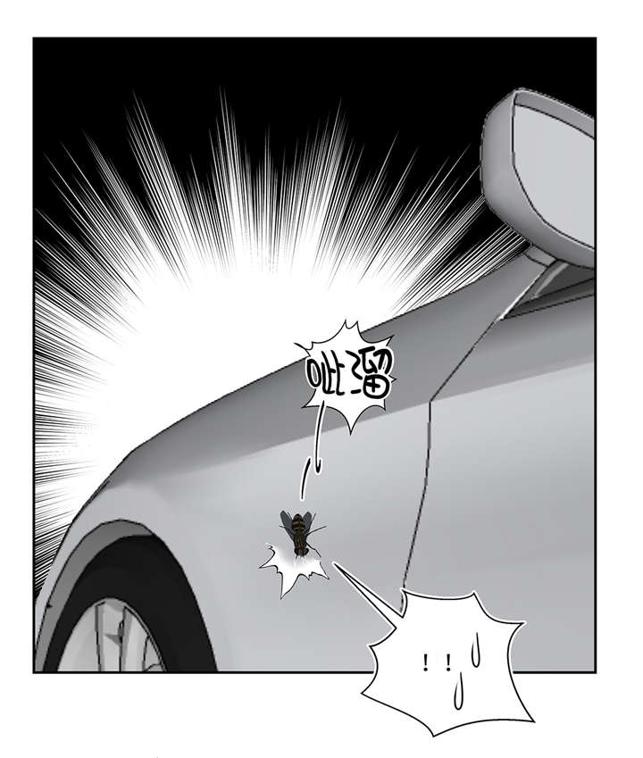 第36章：我喜欢安静的地方4