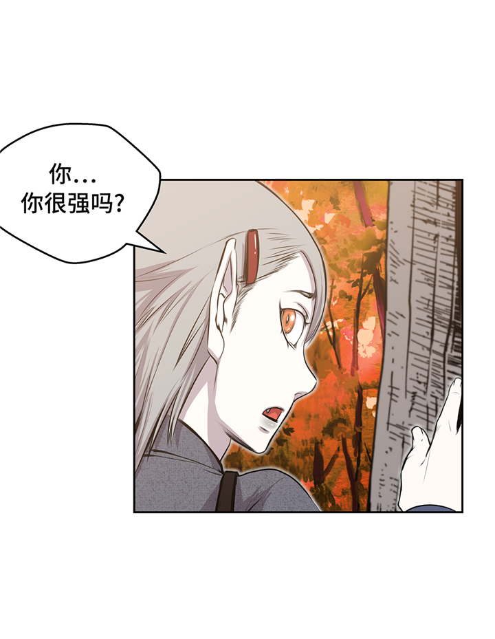 第70章：特殊装备12