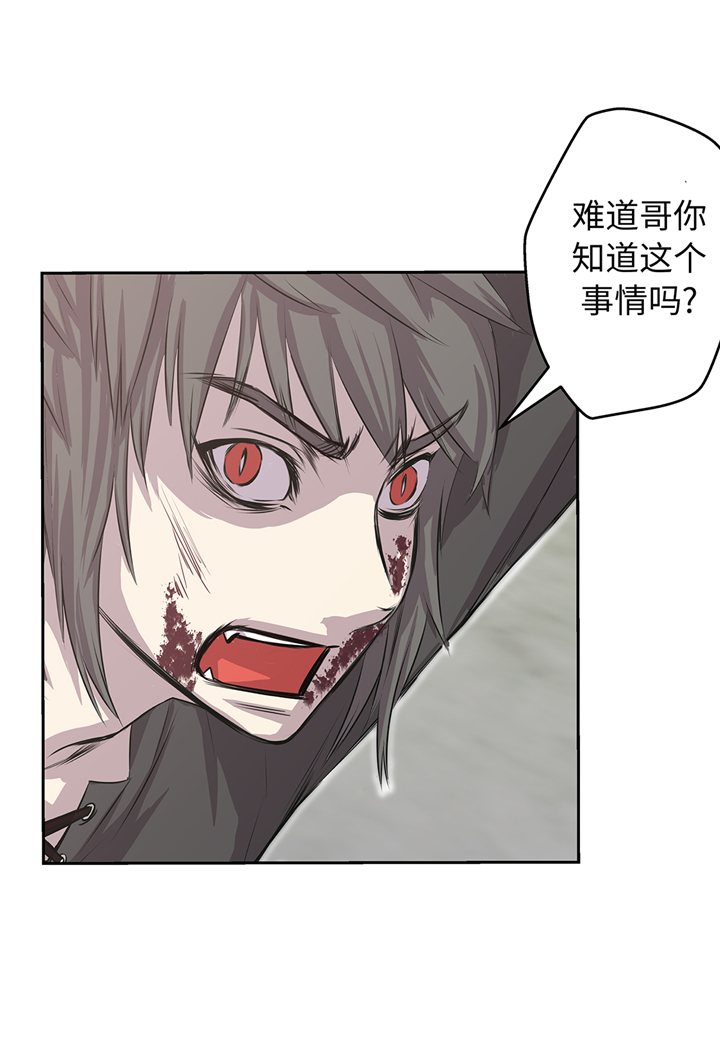 第67章：变强23