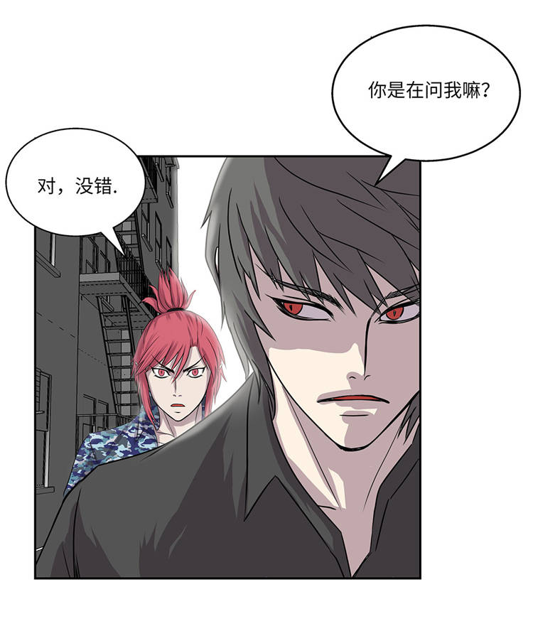 第5章：真实身份35