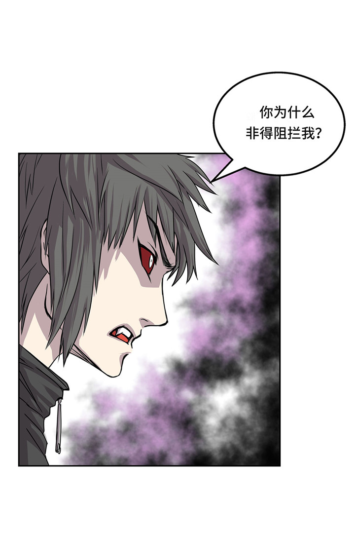 第24章：让我过去！29