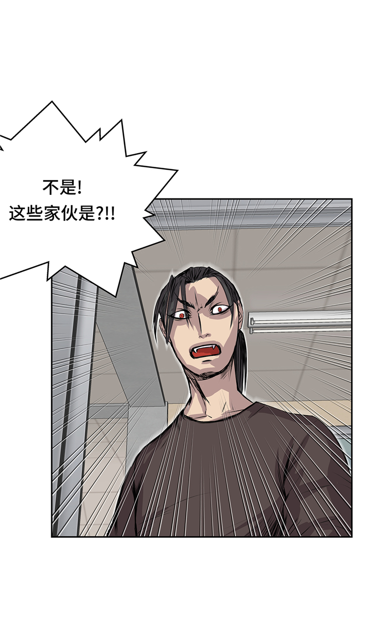 第78章：全面开战31