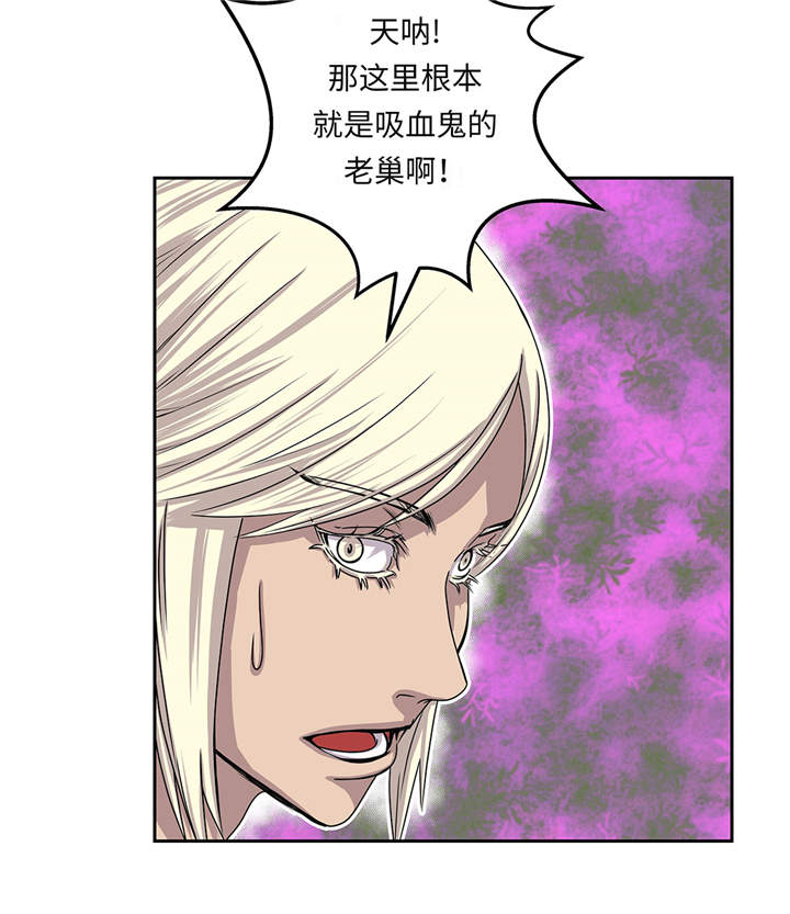 第17章：神秘留言31